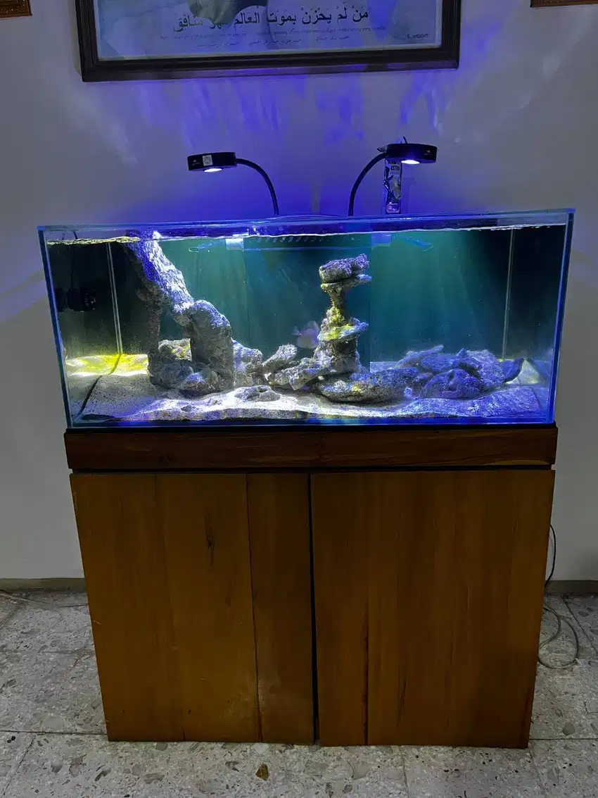 Aquarium Full Set dengan Lampu Spectra