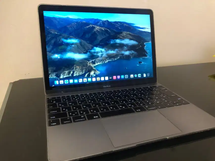 MacBook Early 12inc 2015