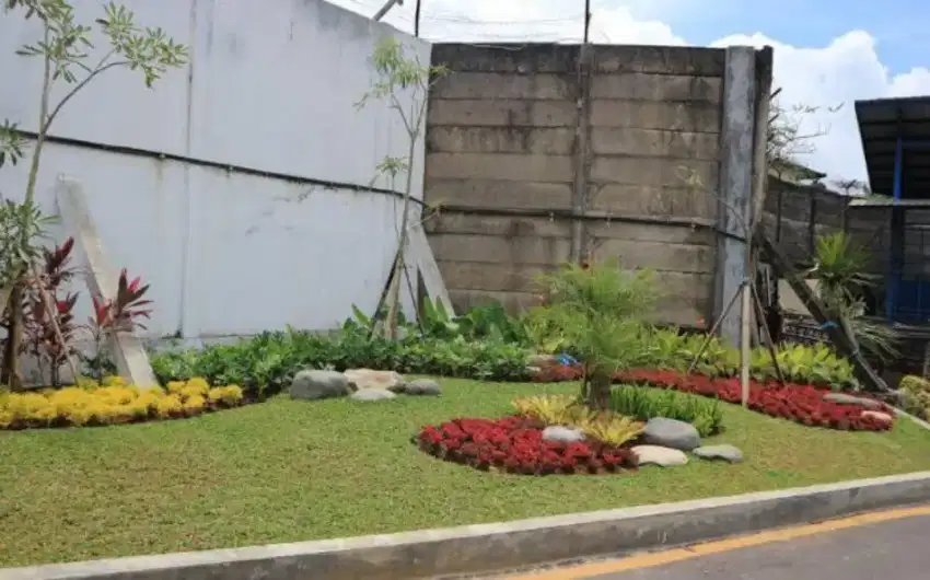 Taman minimalis rumput