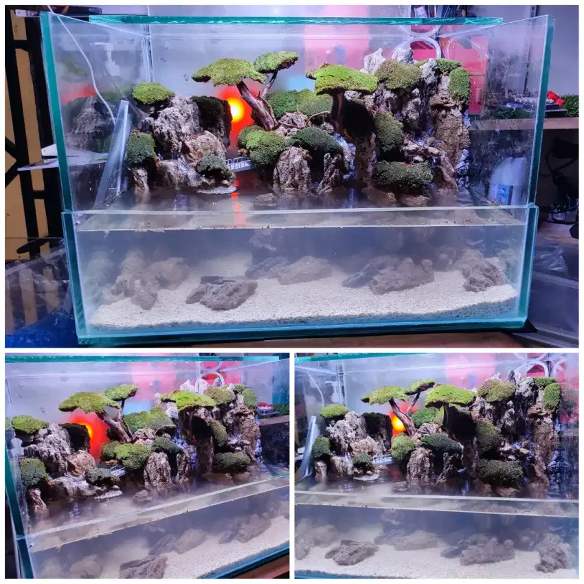 Paludarium Aquarium Aquascape Akuarium fullset siap kirim dan pakai