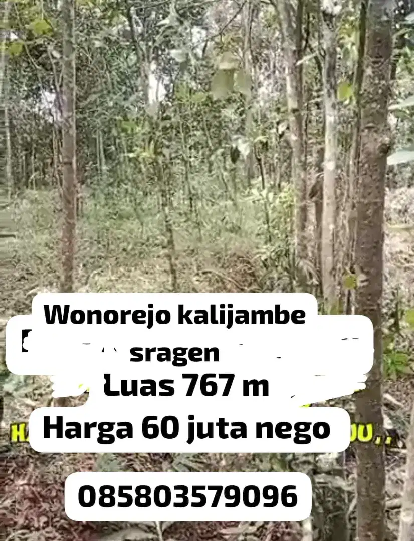 Dijual tanah lokasi Wonorejo Kalijambe sragen