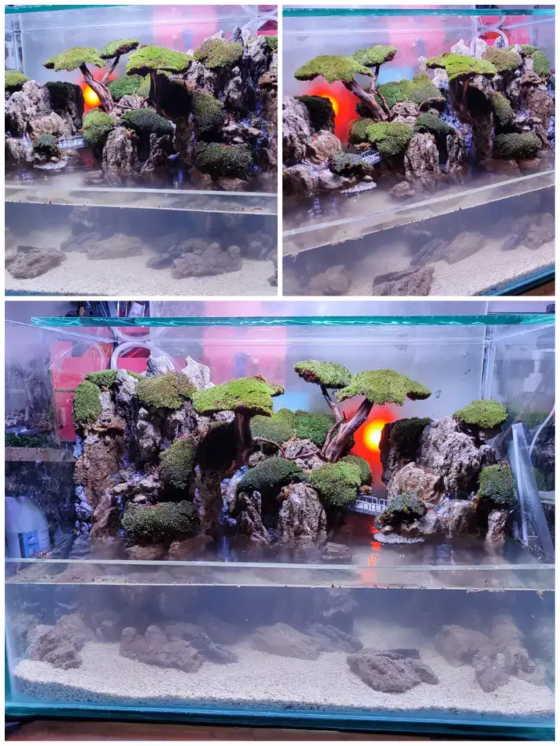 Paludarium Aquarium Aquascape Akuarium fullset siap pakai dan kirim