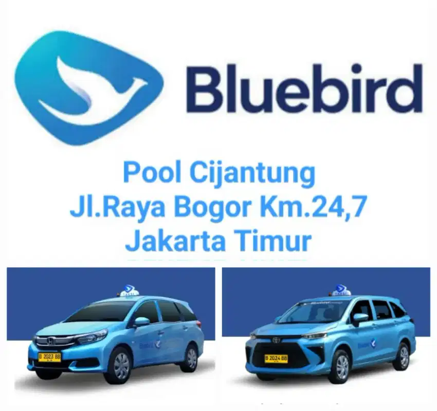 Butuh 10 Driver untuk Taxi Blue Bird