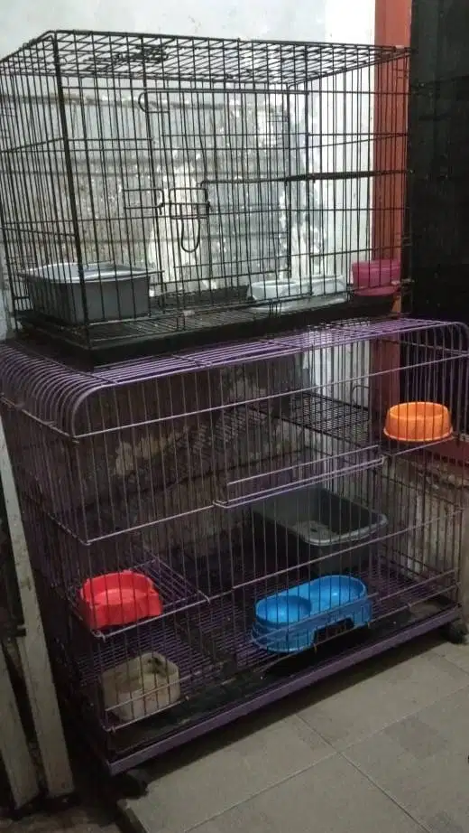 Kandang Kucing Lipat Kranggan Bekasi