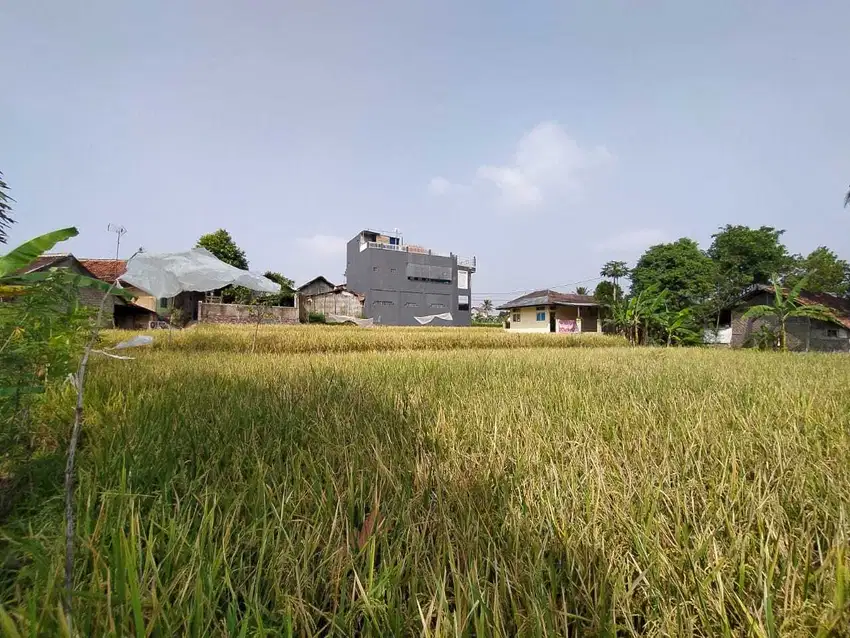 Tanah Sawah produktif menguntungkan di Pusat Kota Cianjur