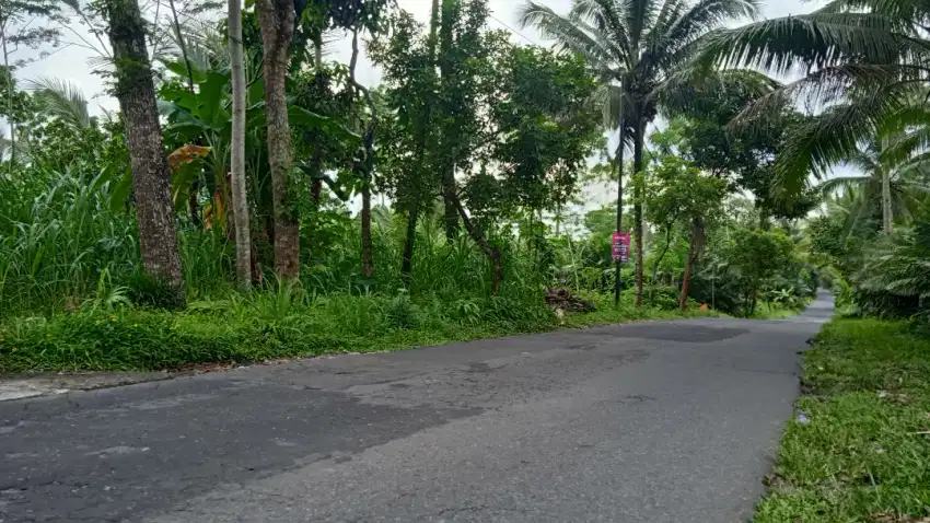 Tanah Strategis Pinggir Jalan Aspal