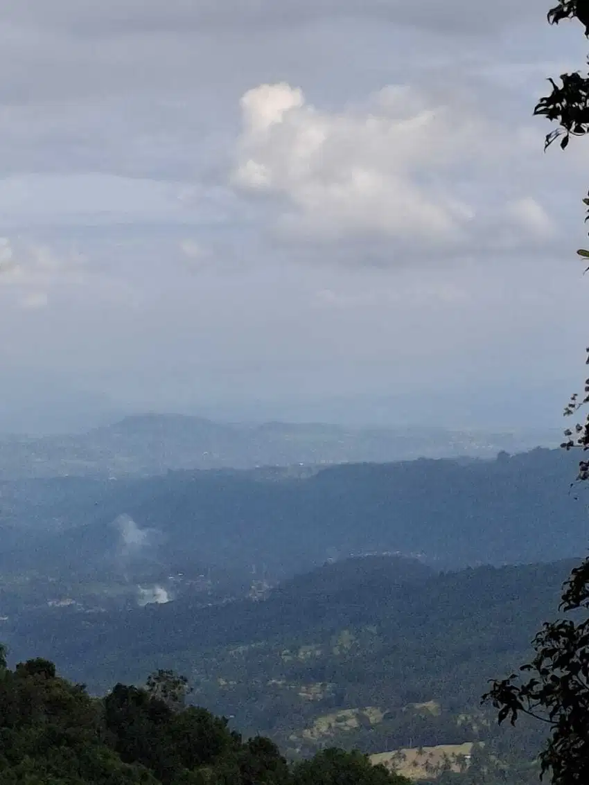 Tanah view sawah dan gunung di Munduk Singaraja Bali