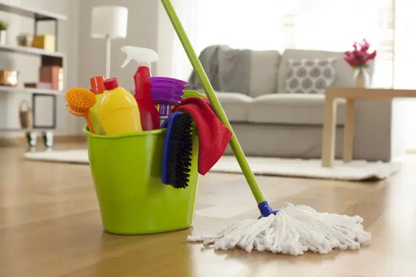 Cleaner household