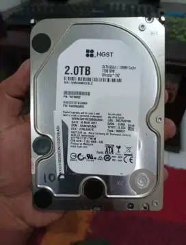 HDD Hardisk PC Desktop HGST 2TB Murah Sentinel 100%