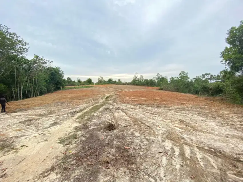 Jual tanah sungai duren dekat uin sertifikat