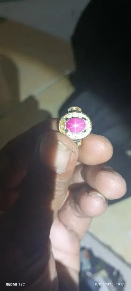 Batu cincing blusafir lambrador dan amerikan ster jual borongan