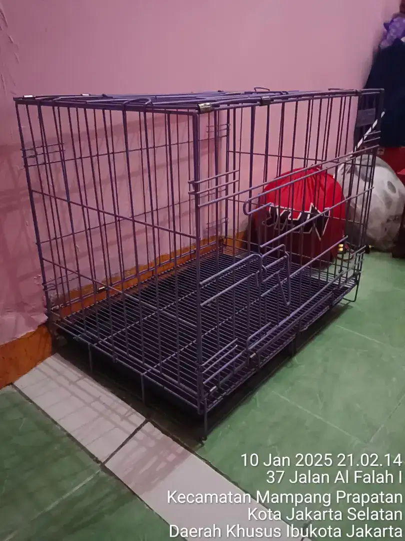 Kandang kucing masih bagus