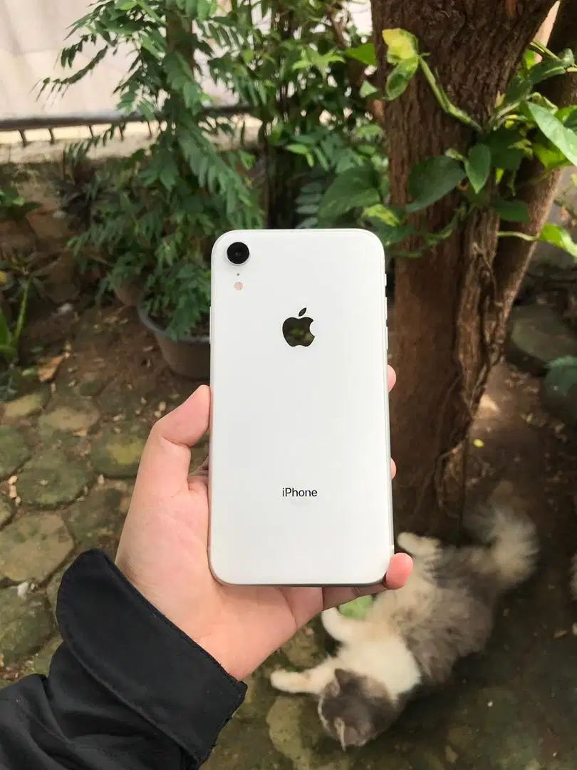 iphone xr 128gb ibox resmi