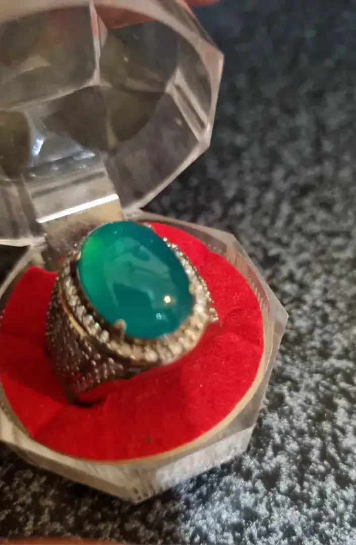 BACAN DOKO GIWANG