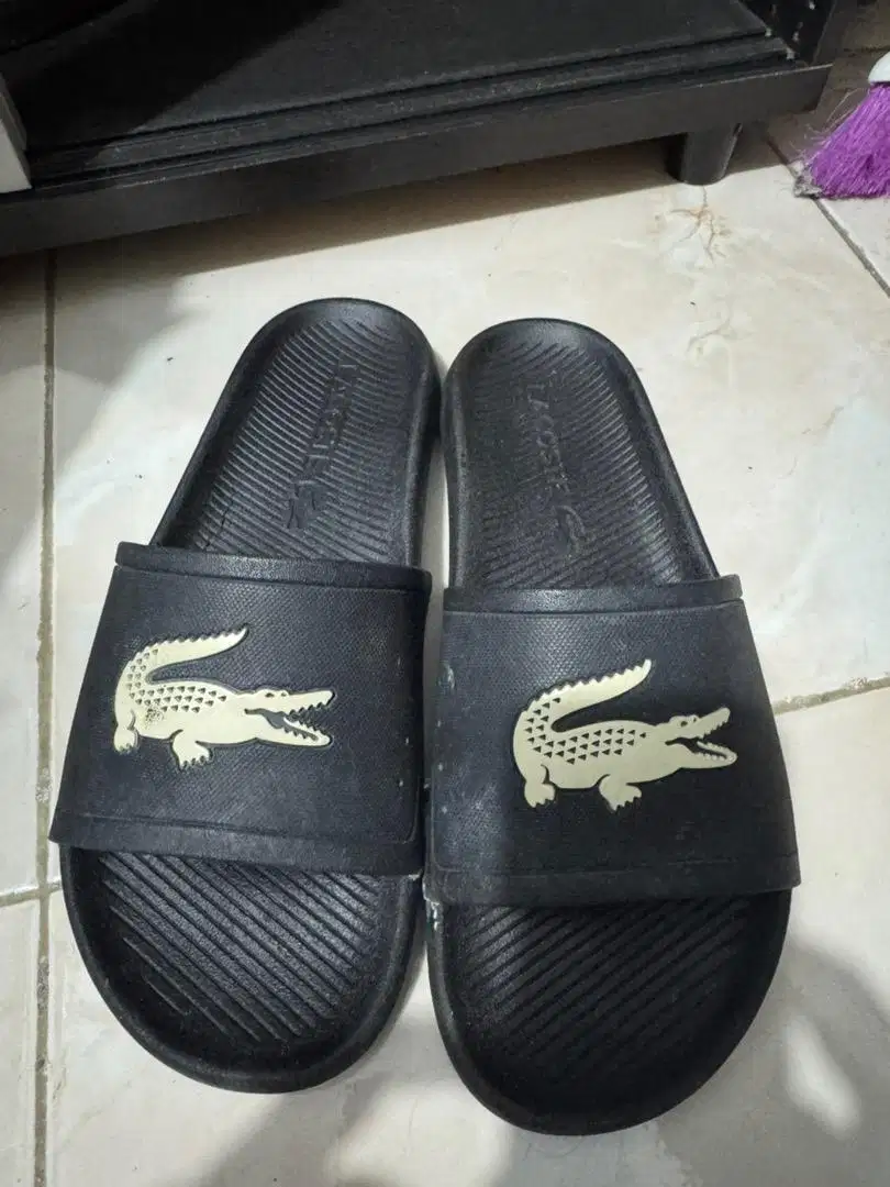 Lacoste Sandal Pria