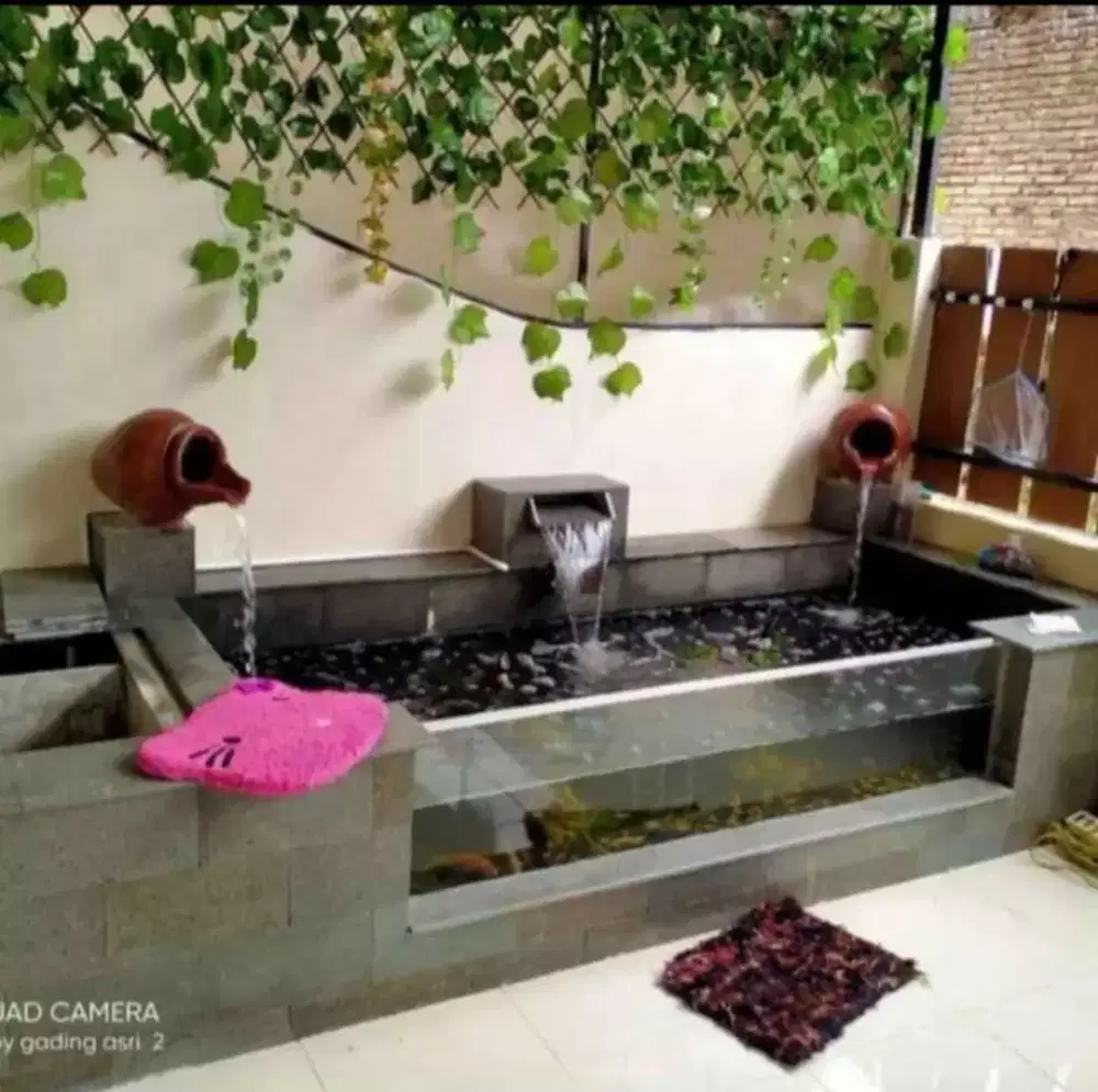 KOLAM IKAN MINIMALIS