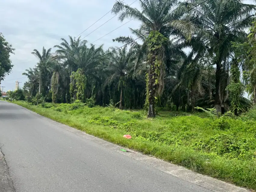 Dijual cepat tanah darat luasa