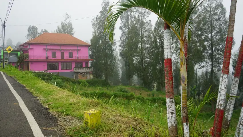 Lahan 2000 Meter di Ds Tosari Pasuruan Jatim