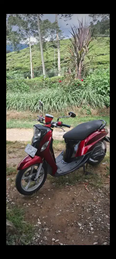 Yamaha Fino 2017