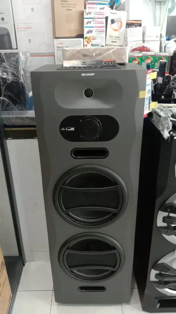 Speaker Sharp 12ich