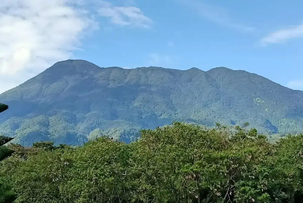 lowongan pekerjaan Karyawan Toko