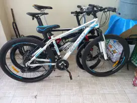 Sepeda mtb genio m341