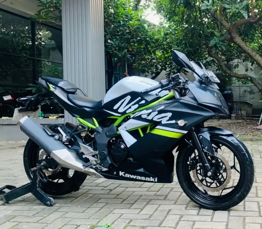 Kawasaki ninja 250 mono