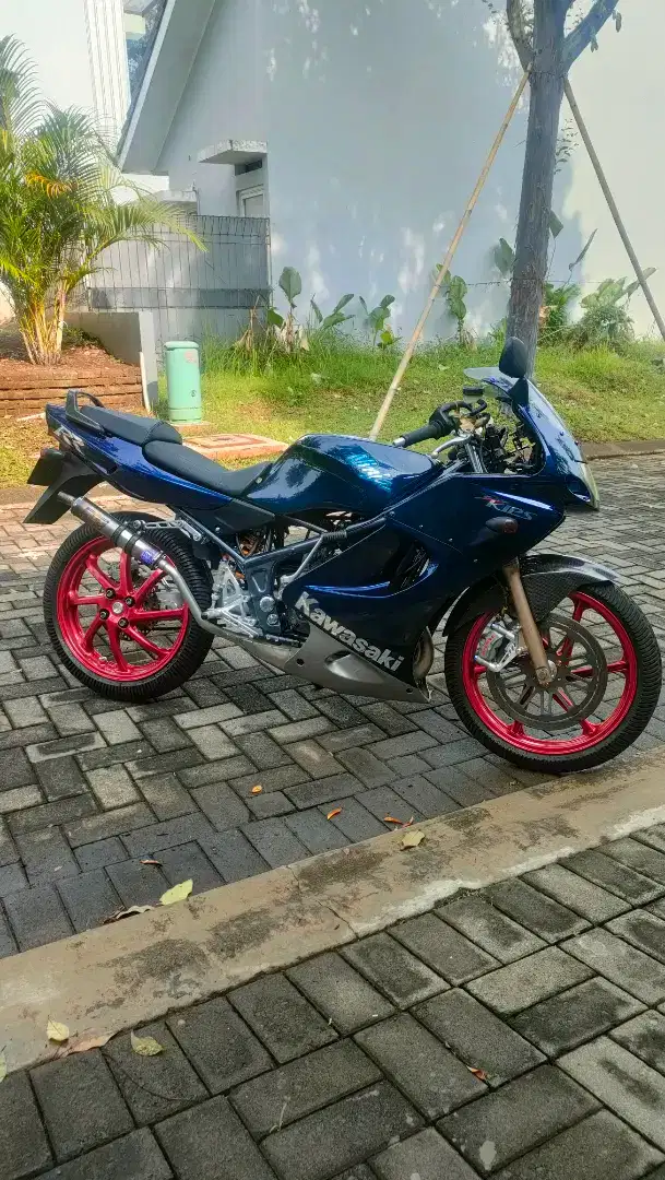 Ninja rr 2009 navy