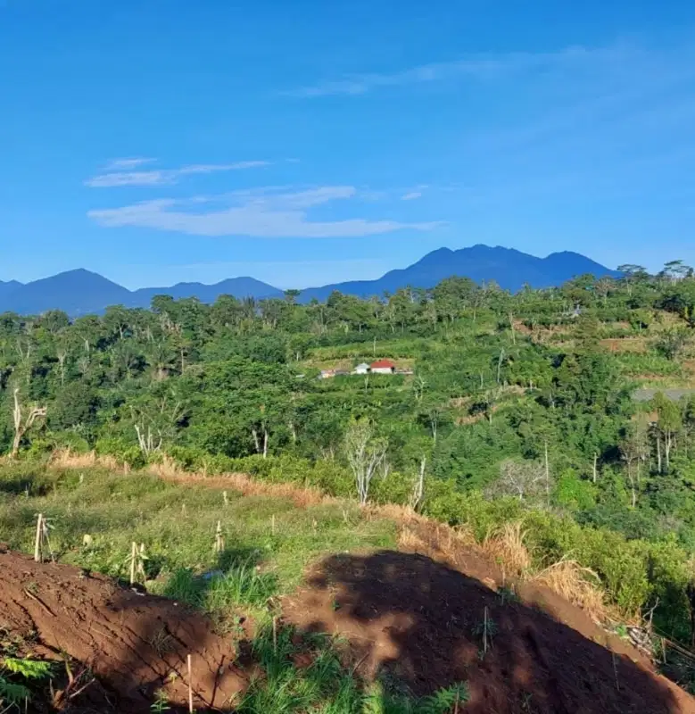 Jual tanah view gunung dan los sungai ayung