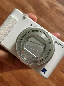 (RARE) Sony ZV-1