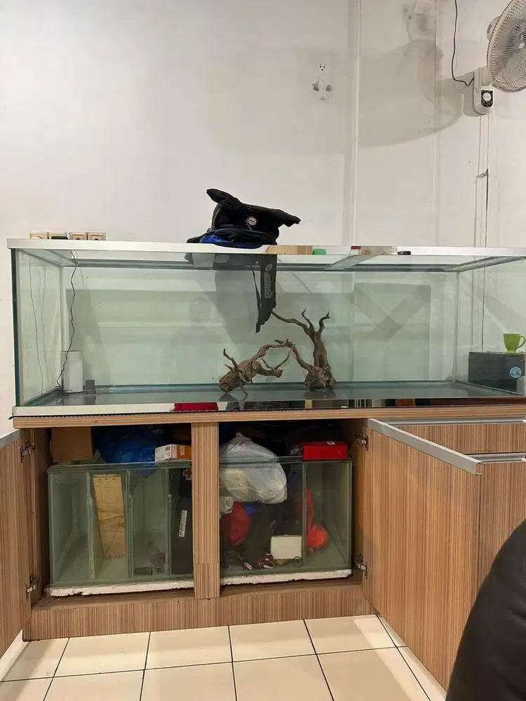 Aquarium jumbo berkwalitas