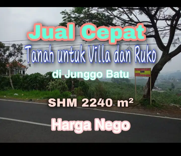 DIJUAL KEBUN APEL di BATU, MALANG