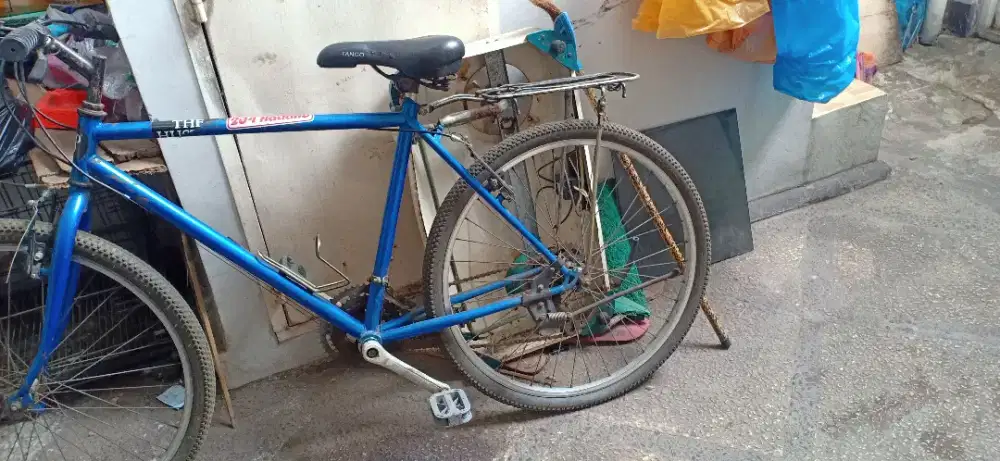 Dijual sepeda laki laki (Sport)