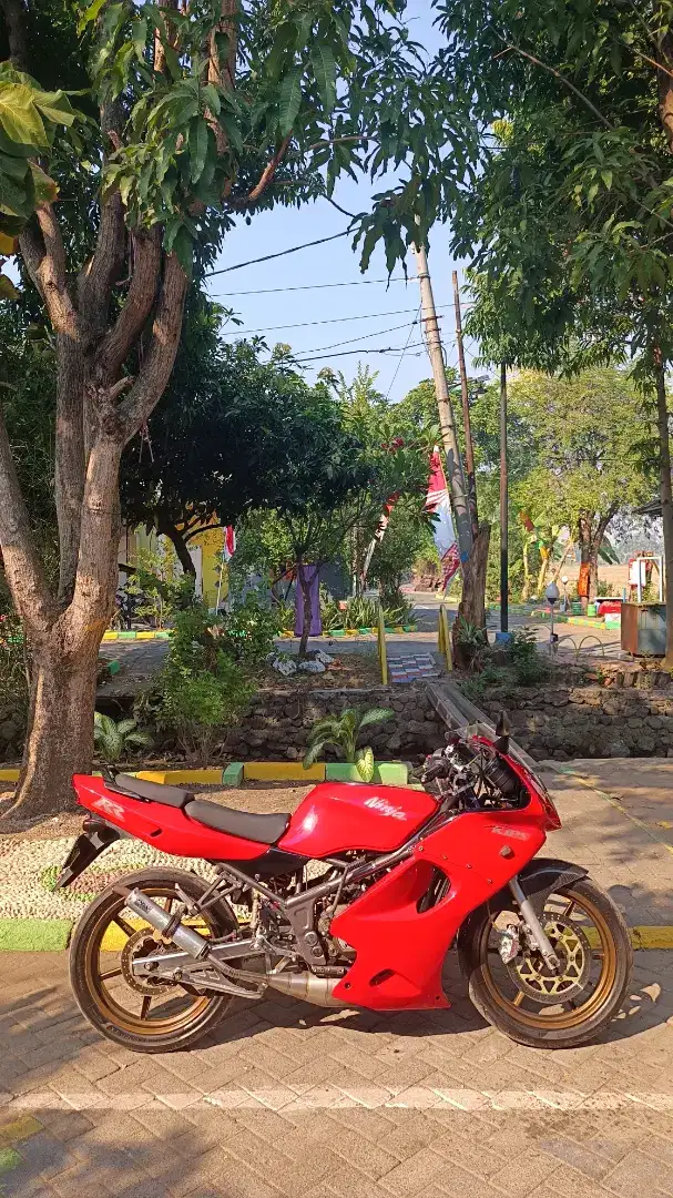 Ninja RR full modif