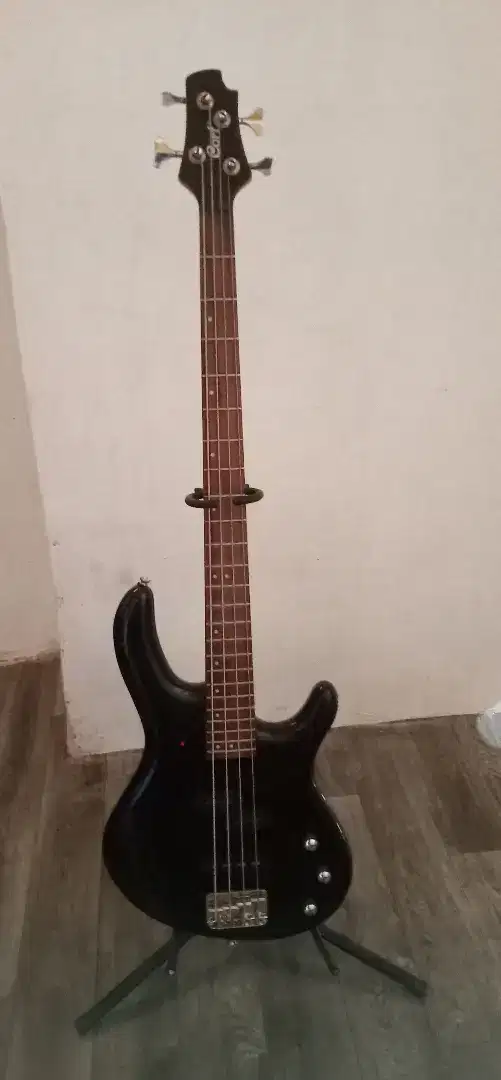 Bass cort original