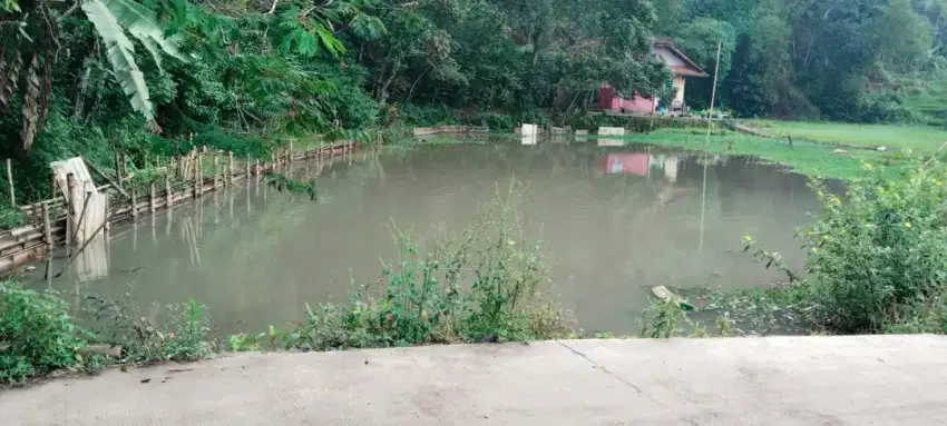 Dijual kolam ikan murah pinggir jalan air melimpah