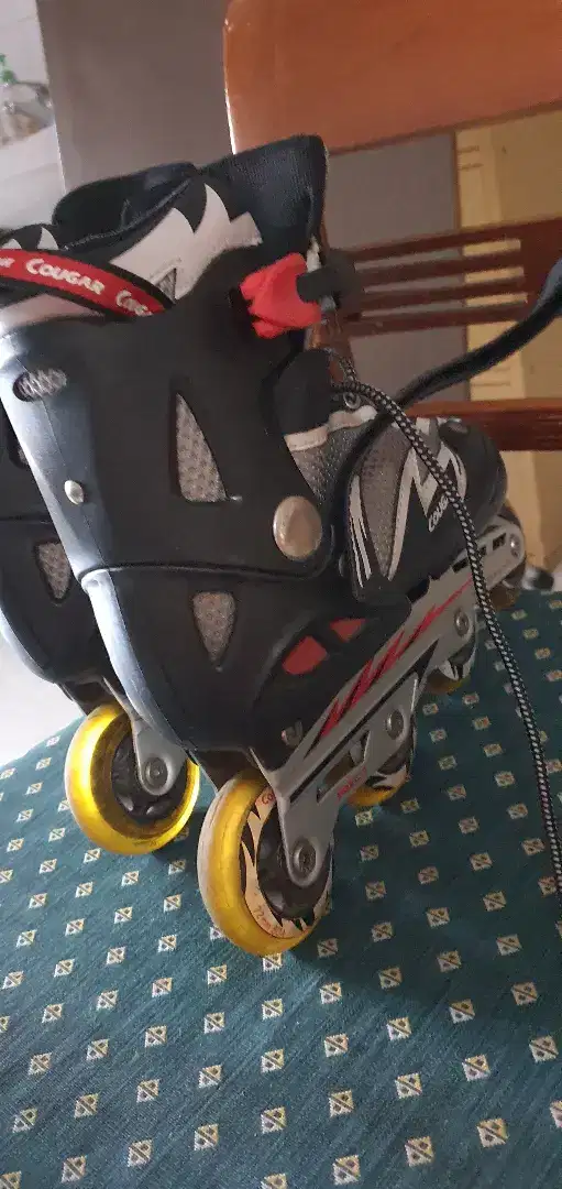 Roller blade pria dan wanita