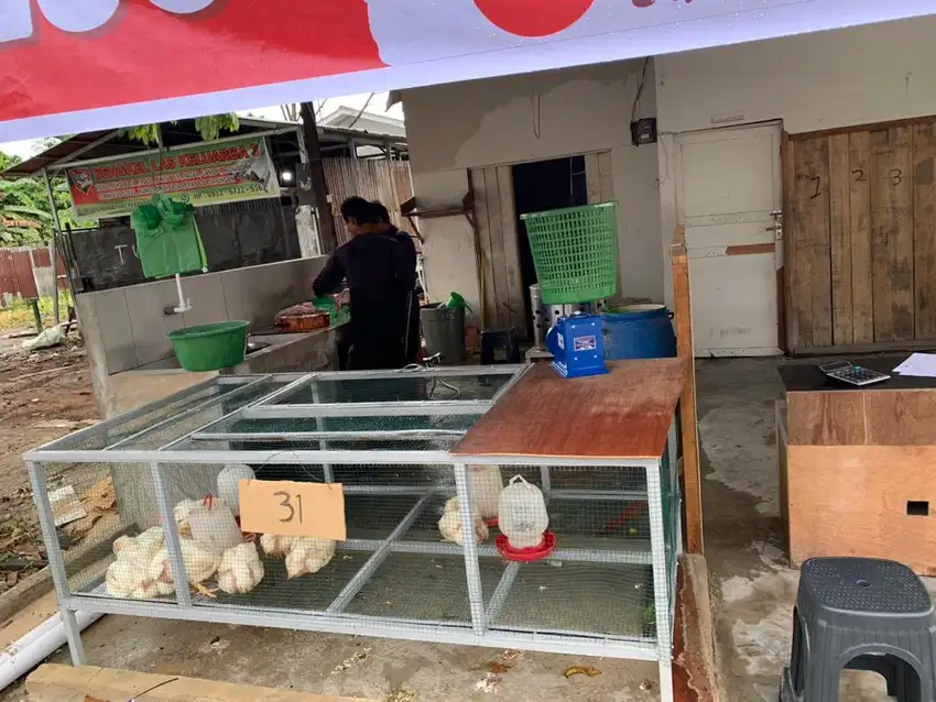 Lowongan Kerja Potong Ayam