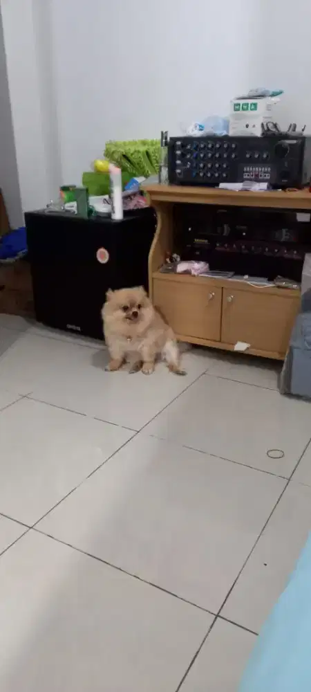 Meja televisi minimalis