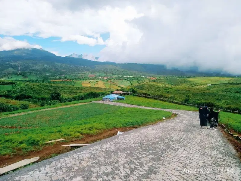 Kavling Villa Malino dekat Kebun Teh