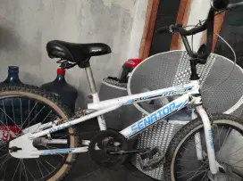 Sepeda Anak BMX SENATOR 20 INCH