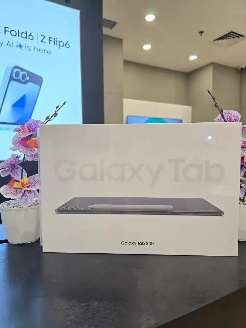 Samsung Galaxy Tab S10+, New Segel