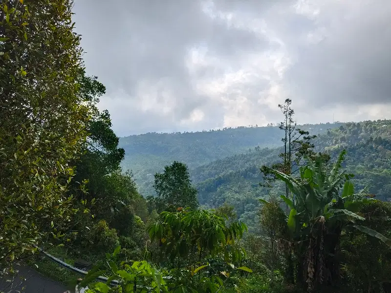 Dijual tanah murah view lembah dan bukit di munduk buleleng bali