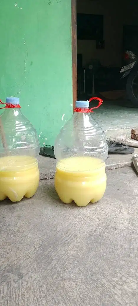 karbol pembersih lantai 14 liter