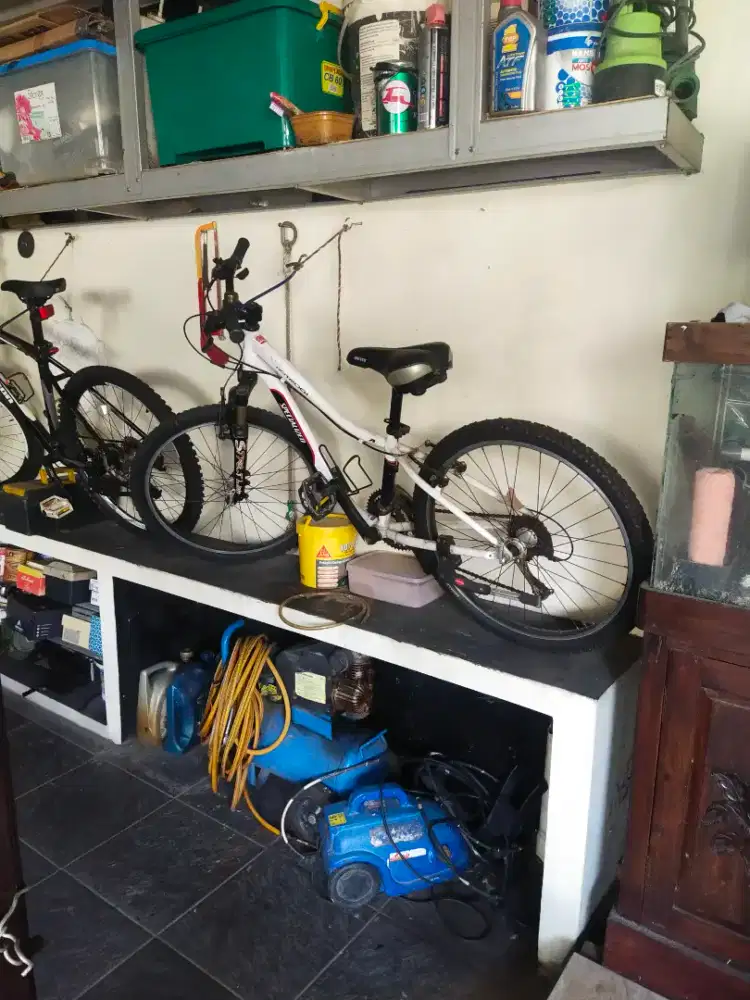 specialized speda gunung