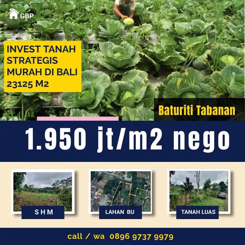 Tanah kebun dijual murah sangat BU di baturiti tabanan