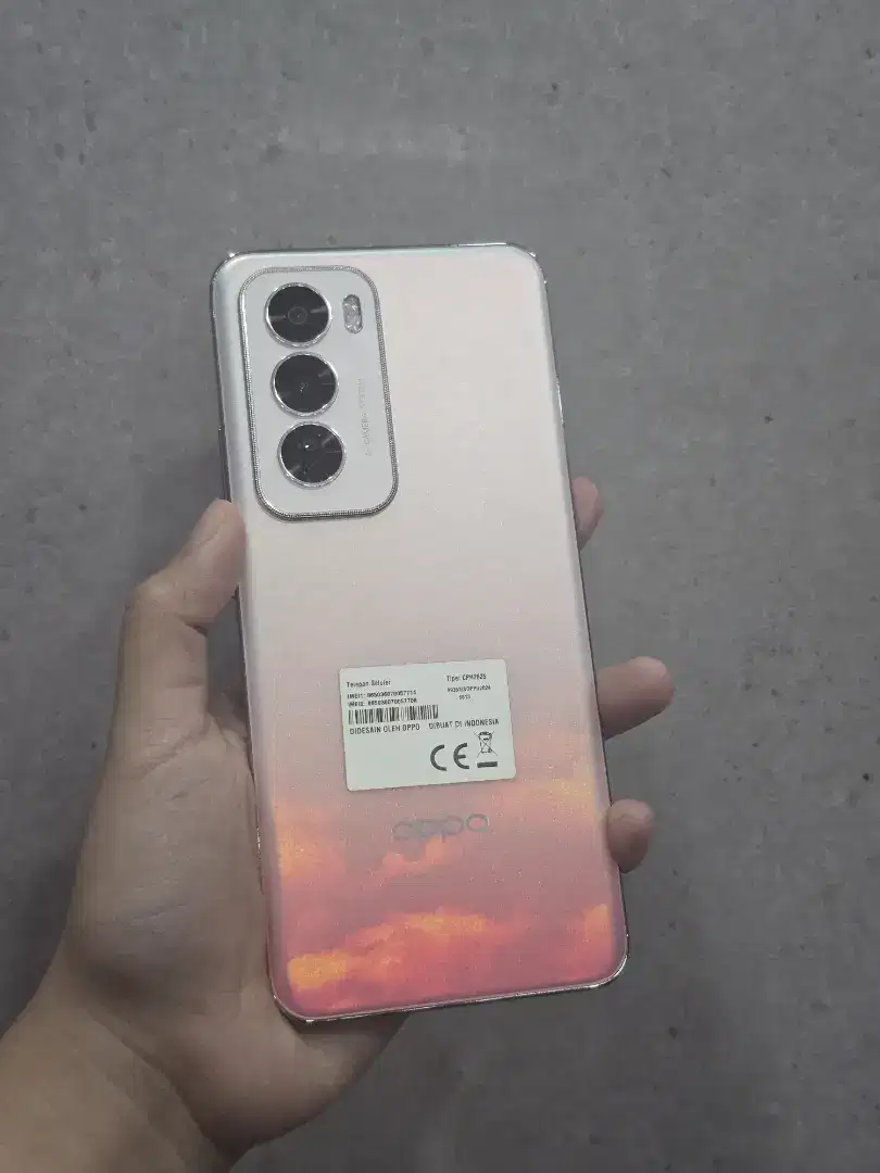 Second Oppo Reno 12 5G