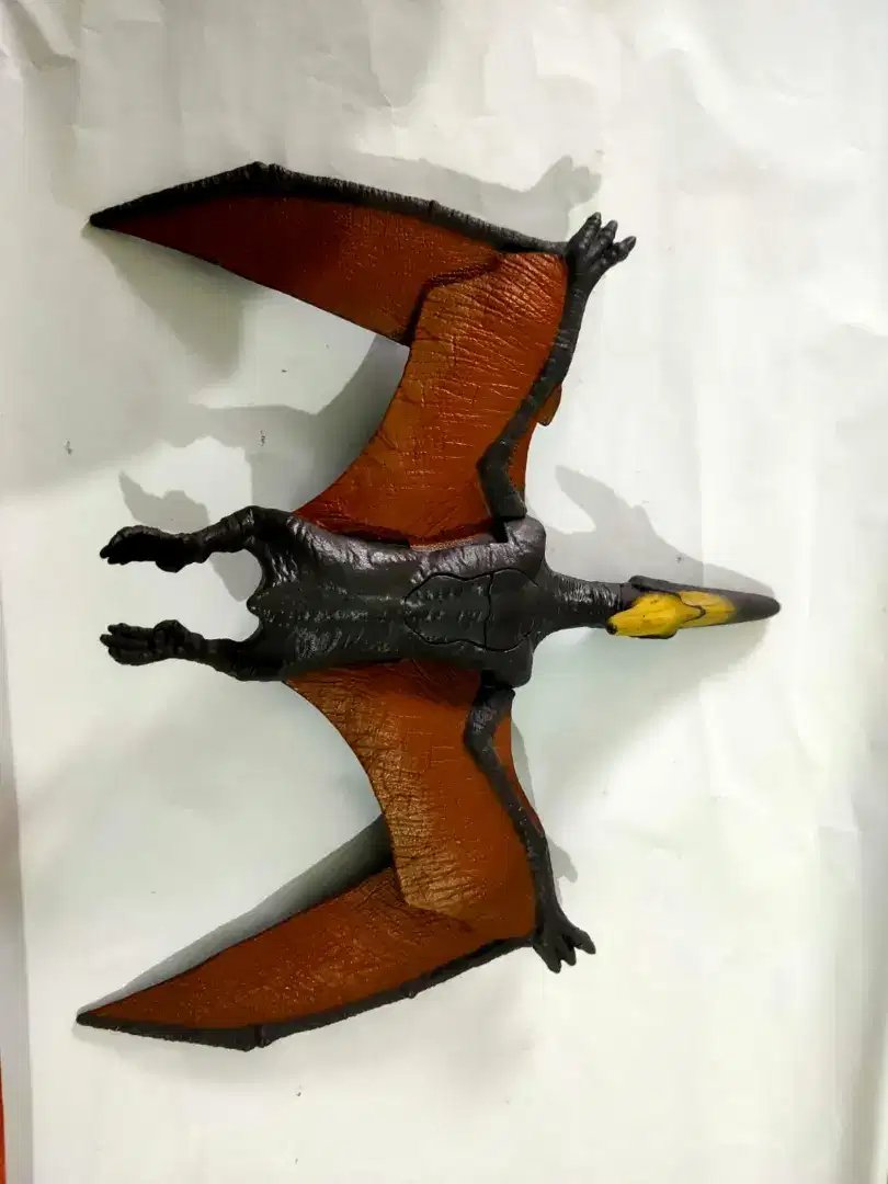 Pteranodon/Pterodactyl