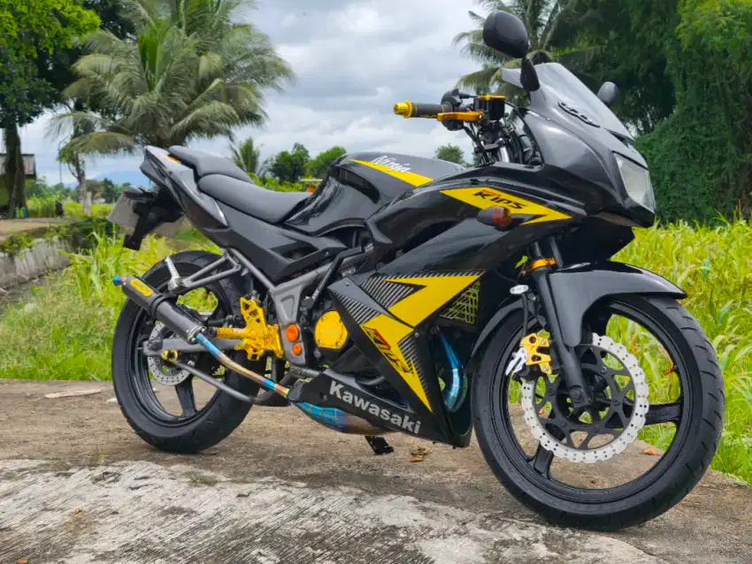 Ninja RR New 2014 Black Gold