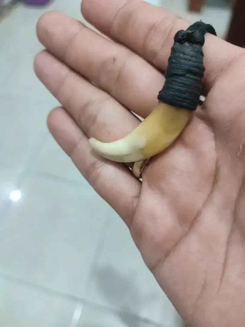 kalung asli kalimantan pedalaman